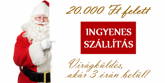 Rendelési útmutató + GYIK Rendelési útmutató + GYIK